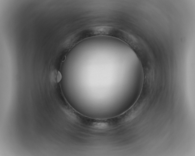 X0000110730649200906121449