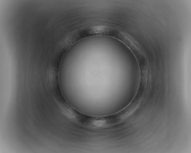 X0000110730653200906121449