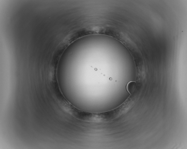 X0000110730656200906121449