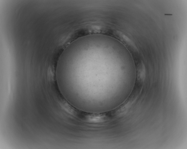 X0000110730661200906121449