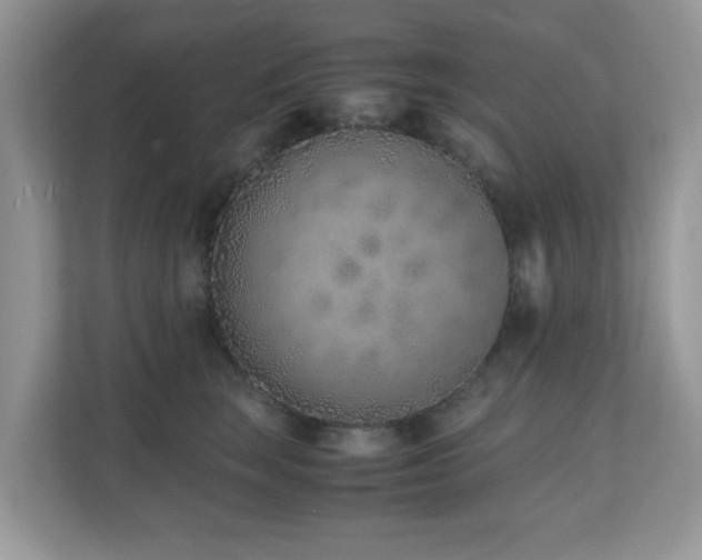X0000110730663200906121449