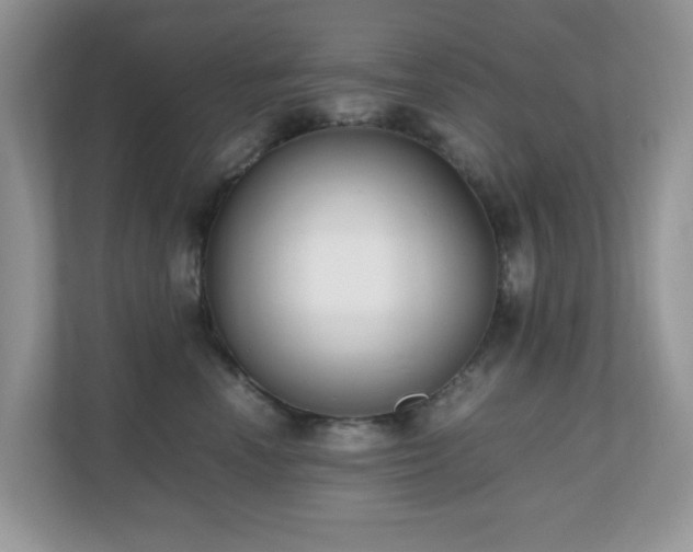 X0000110730666200906121449