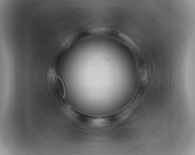 X0000110730669200906121449