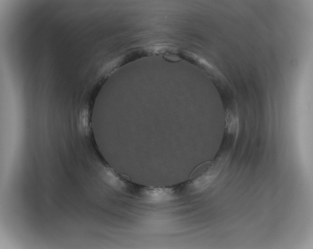 X0000110730670200906121449
