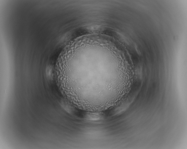 X0000110730671200906121449
