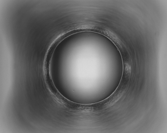 X0000110730676200906121449