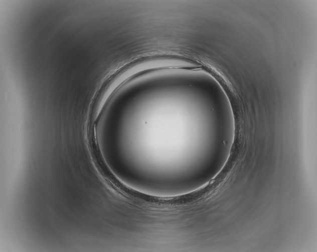 X0000110730677200906121449