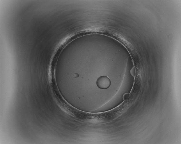 X0000110730678200906121449