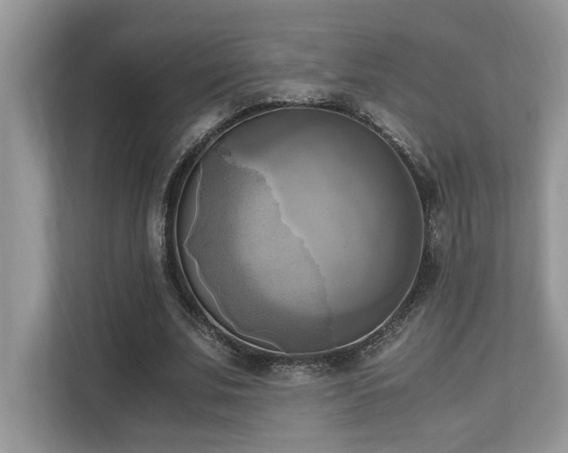 X0000110730679200906121449