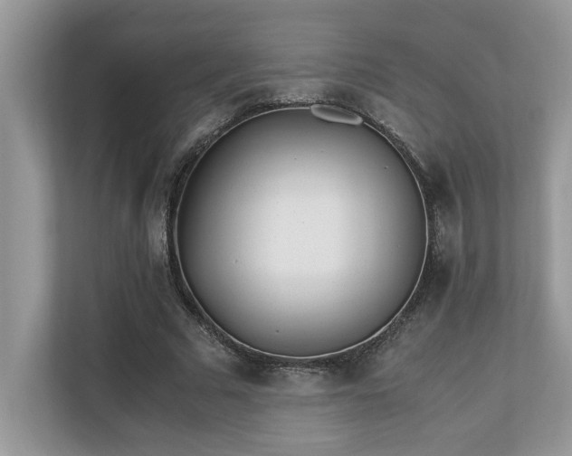 X0000110730681200906121449