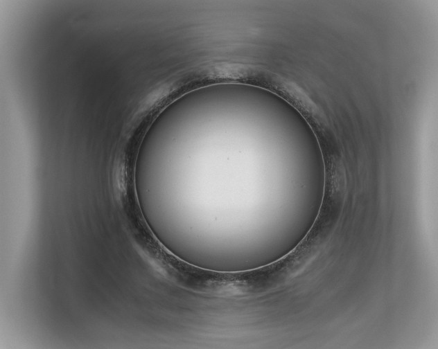 X0000110730683200906121449