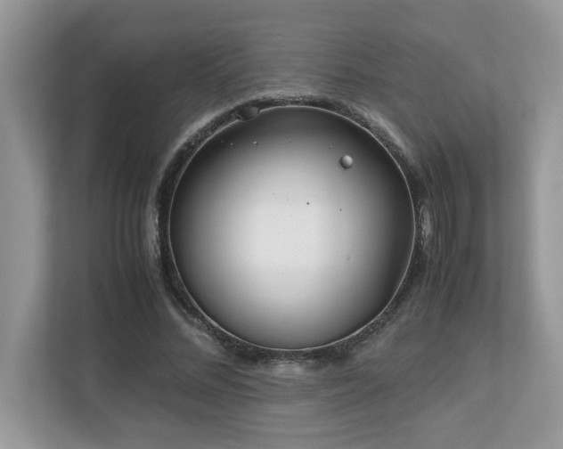 X0000110730684200906121449