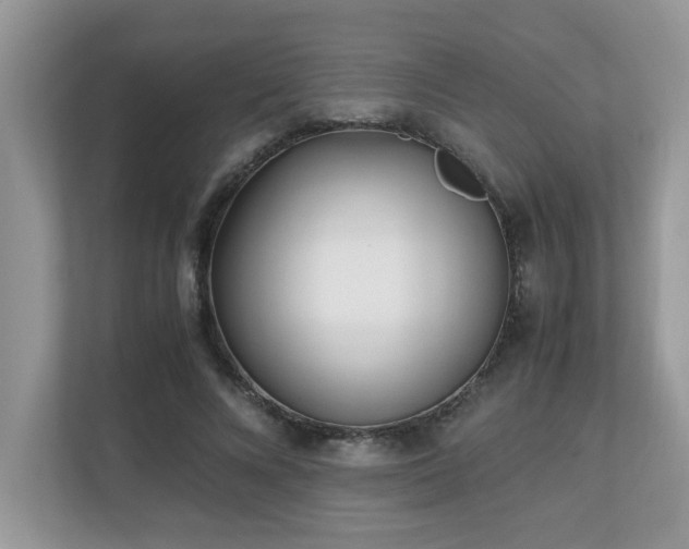 X0000110730688200906121449