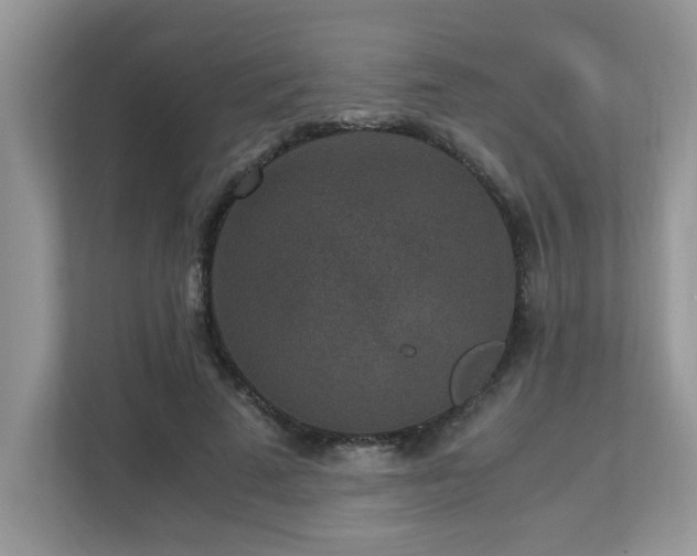 X0000110730689200906121449