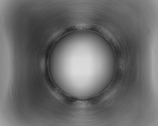 X0000110730690200906121449