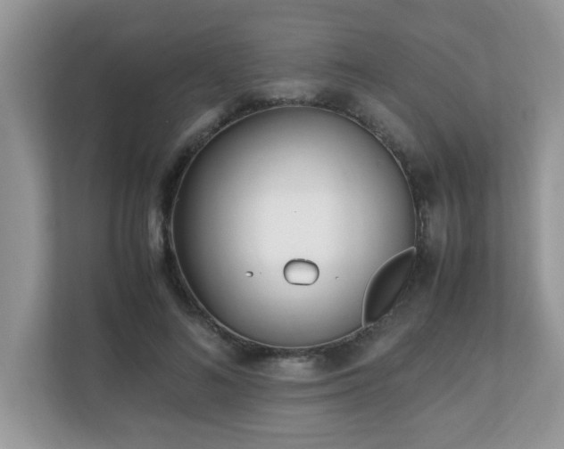 X0000110730692200906121449
