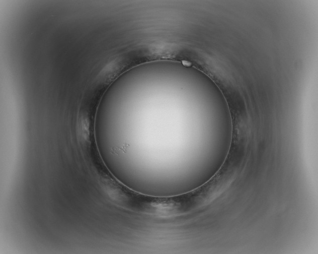 X0000110730693200906121449