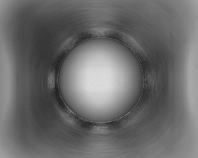 X0000110730694200906121449