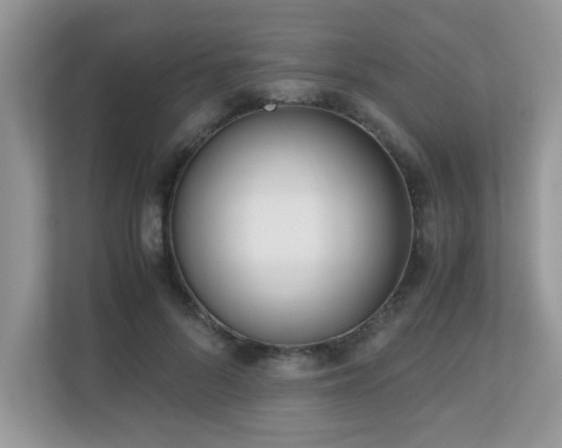 X0000110730696200906121449