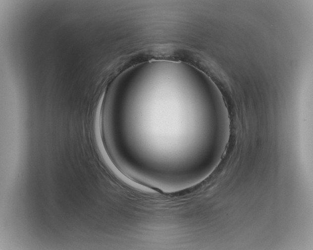 X0000110730697200906121448