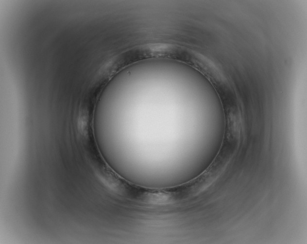 X0000110730698200906121448