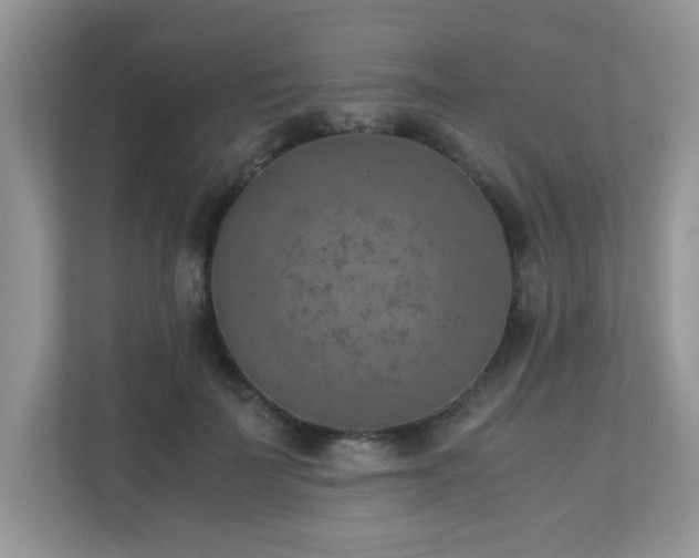 X0000110730699200906121448