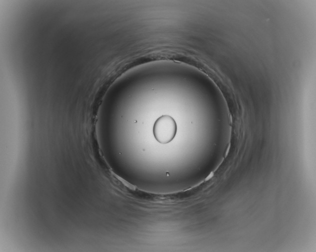 X0000110730701200906121448