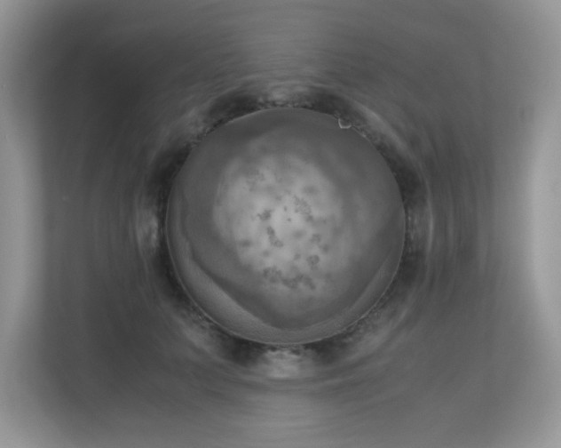 X0000110730703200906121448