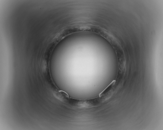 X0000110730704200906121448