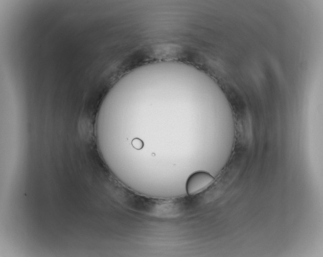 X0000110730705200906121448