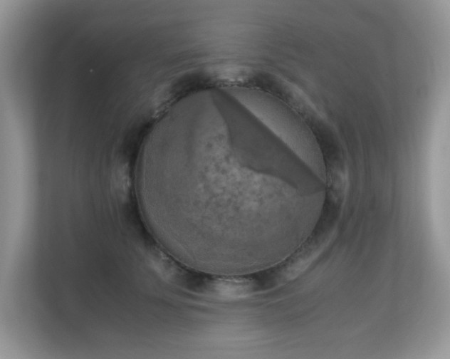 X0000110730707200906121448