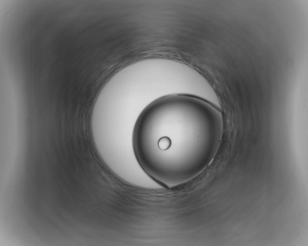 X0000110730708200906121448
