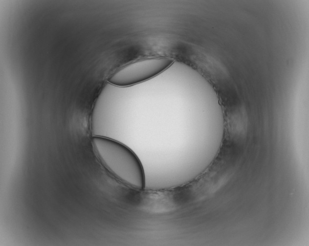 X0000110730709200906121448