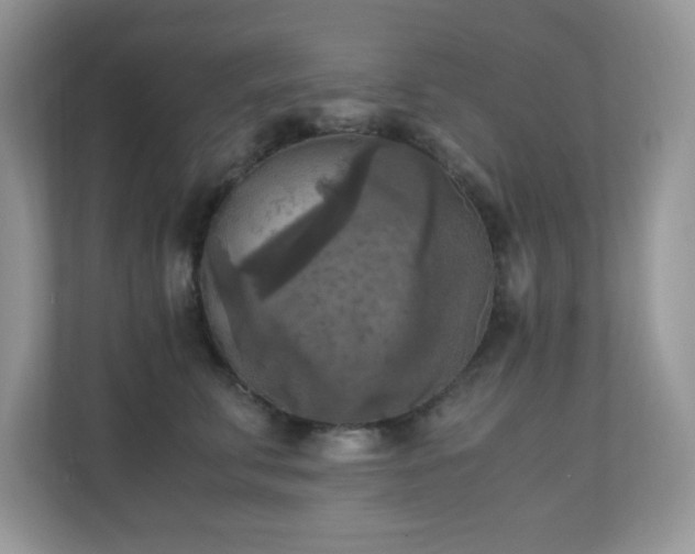 X0000110730711200906121448
