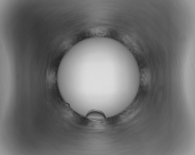 X0000110730713200906121448