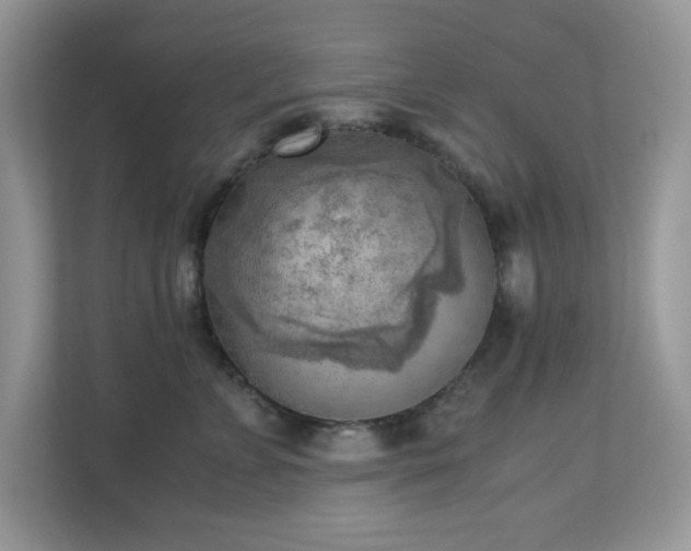 X0000110730715200906121448