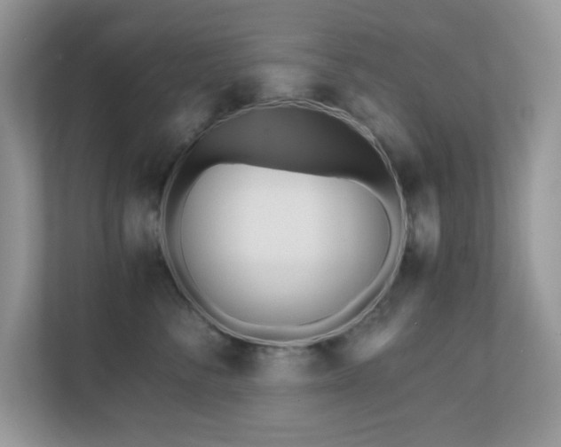 X0000110730716200906121448