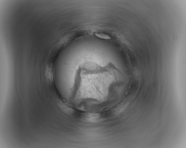 X0000110730719200906121448