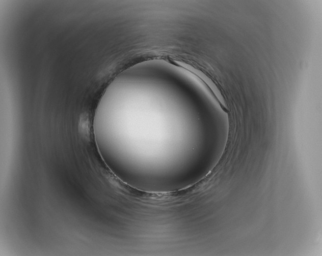X0000110730720200906121448