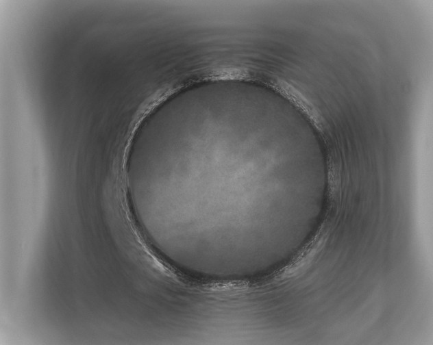 X0000110730721200906121448