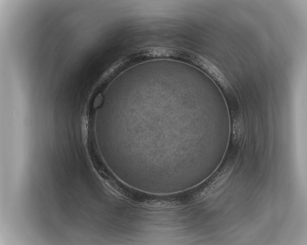 X0000110730722200906121448