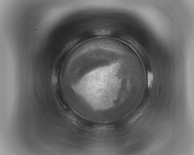 X0000110730723200906121448