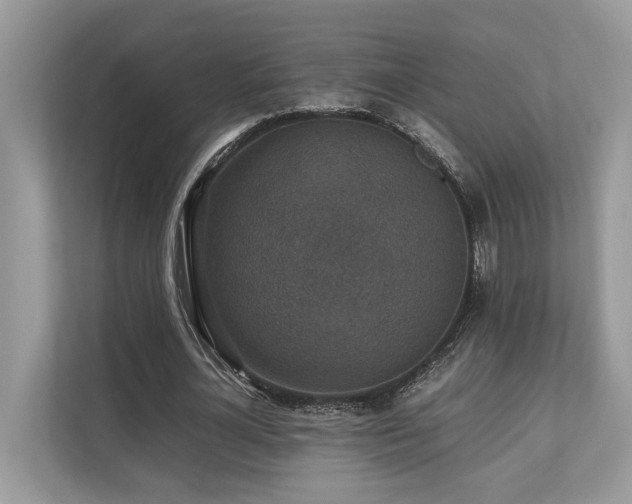 X0000110730724200906121448