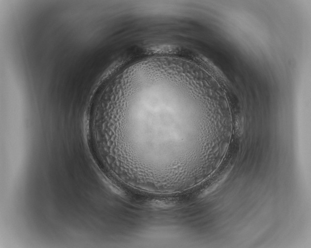 X0000110730725200906121448