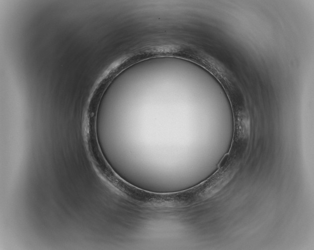 X0000110730726200906121448