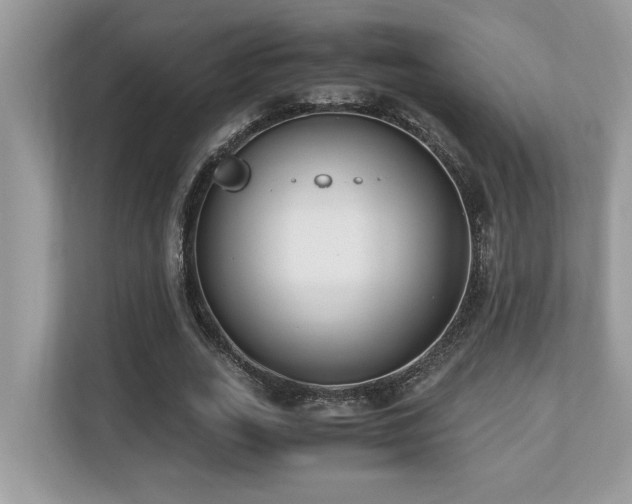 X0000110730727200906121448