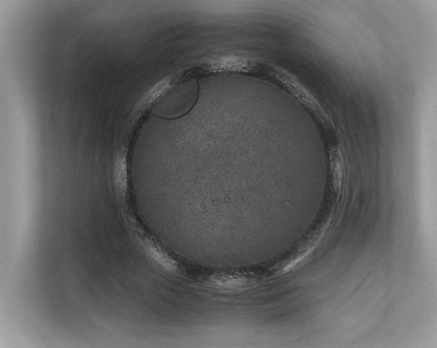 X0000110730729200906121448