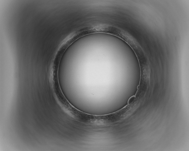 X0000110730730200906121448