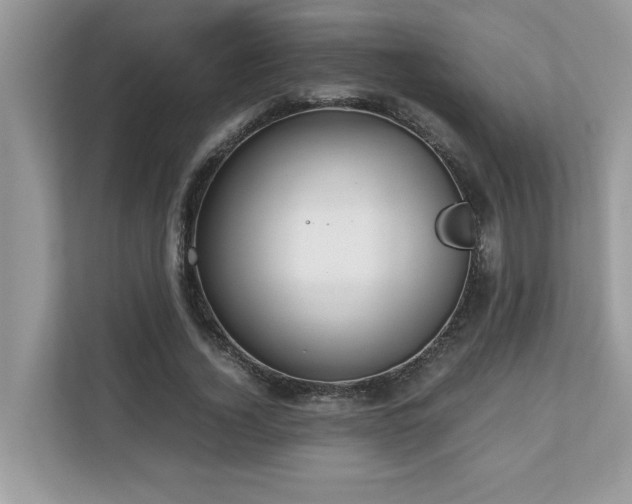 X0000110730732200906121448