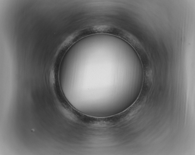 X0000110730734200906121448